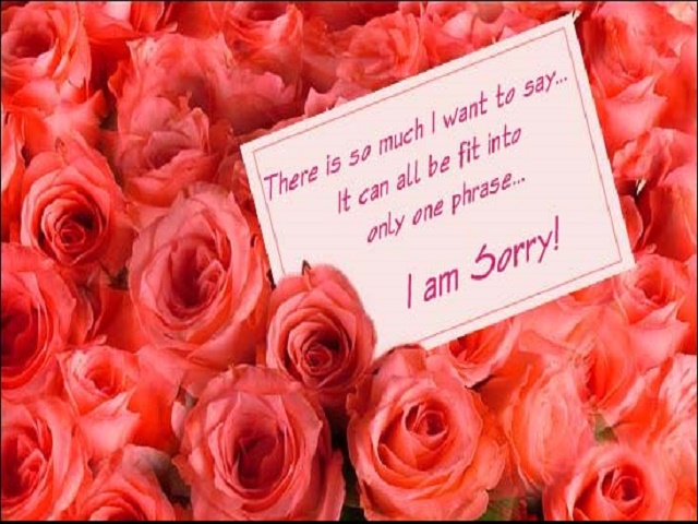 Apology And Sorry Cards 2
