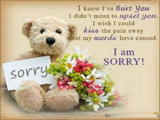 Apology And Sorry Pictures 2