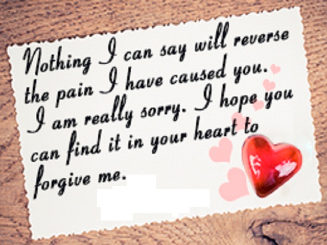 Apology And Sorry Poems