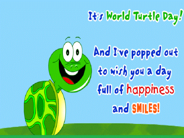 World Turtle Day Greetings 2