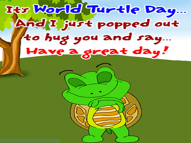 World Turtle Day Greetings 4