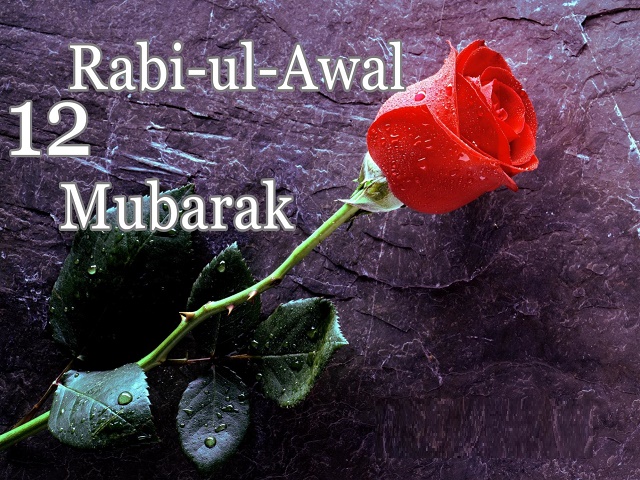 12 Rabi Ulawal Pictures 5