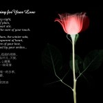 Cute Love Poems Cards1