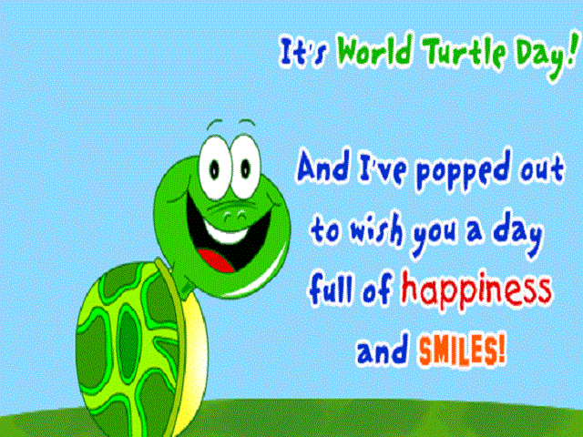 World Turtle Day Cards