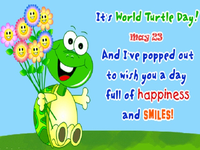 World Turtle Day Pictures
